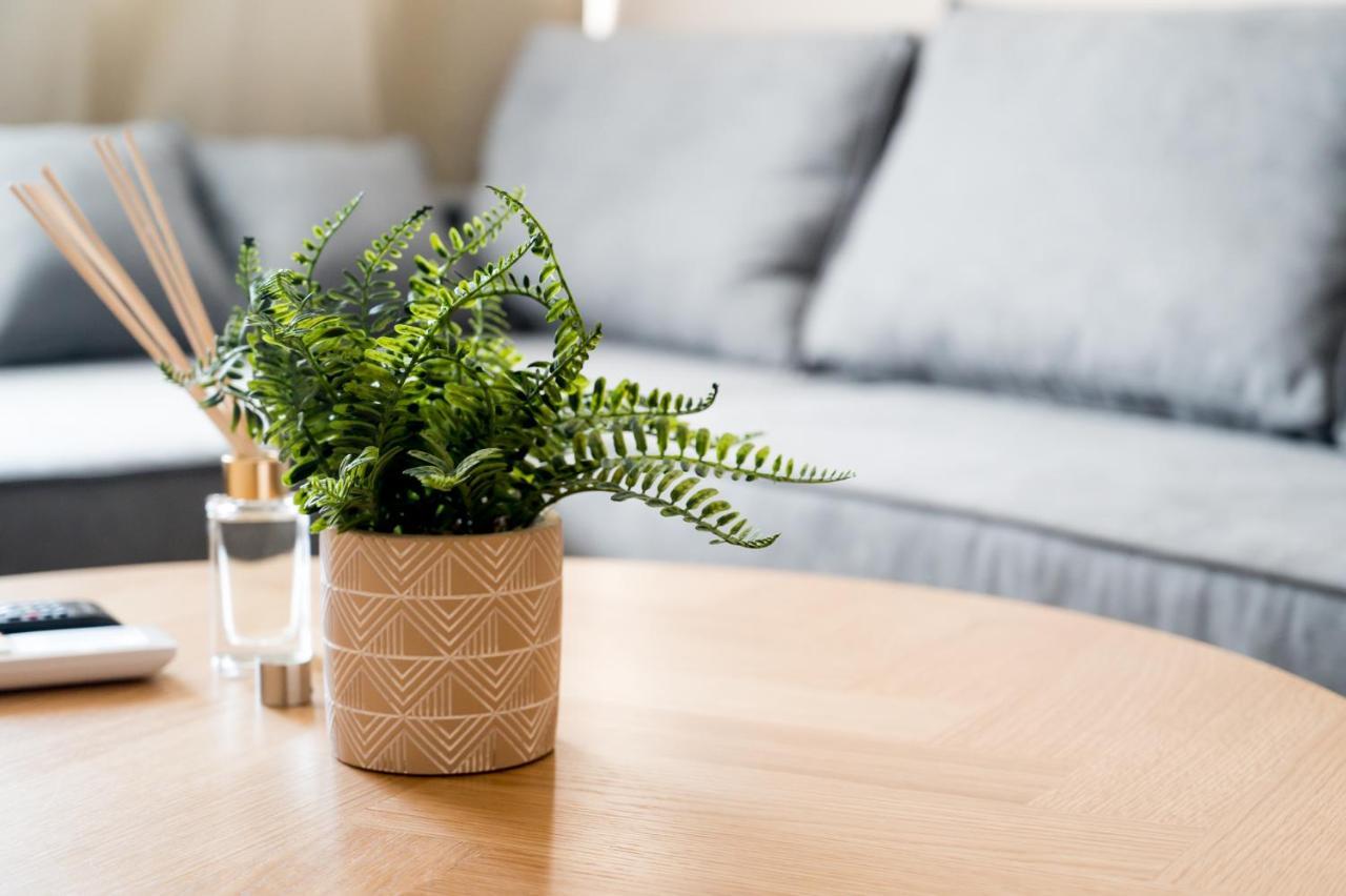 Meda Apartments Preweza Zewnętrze zdjęcie